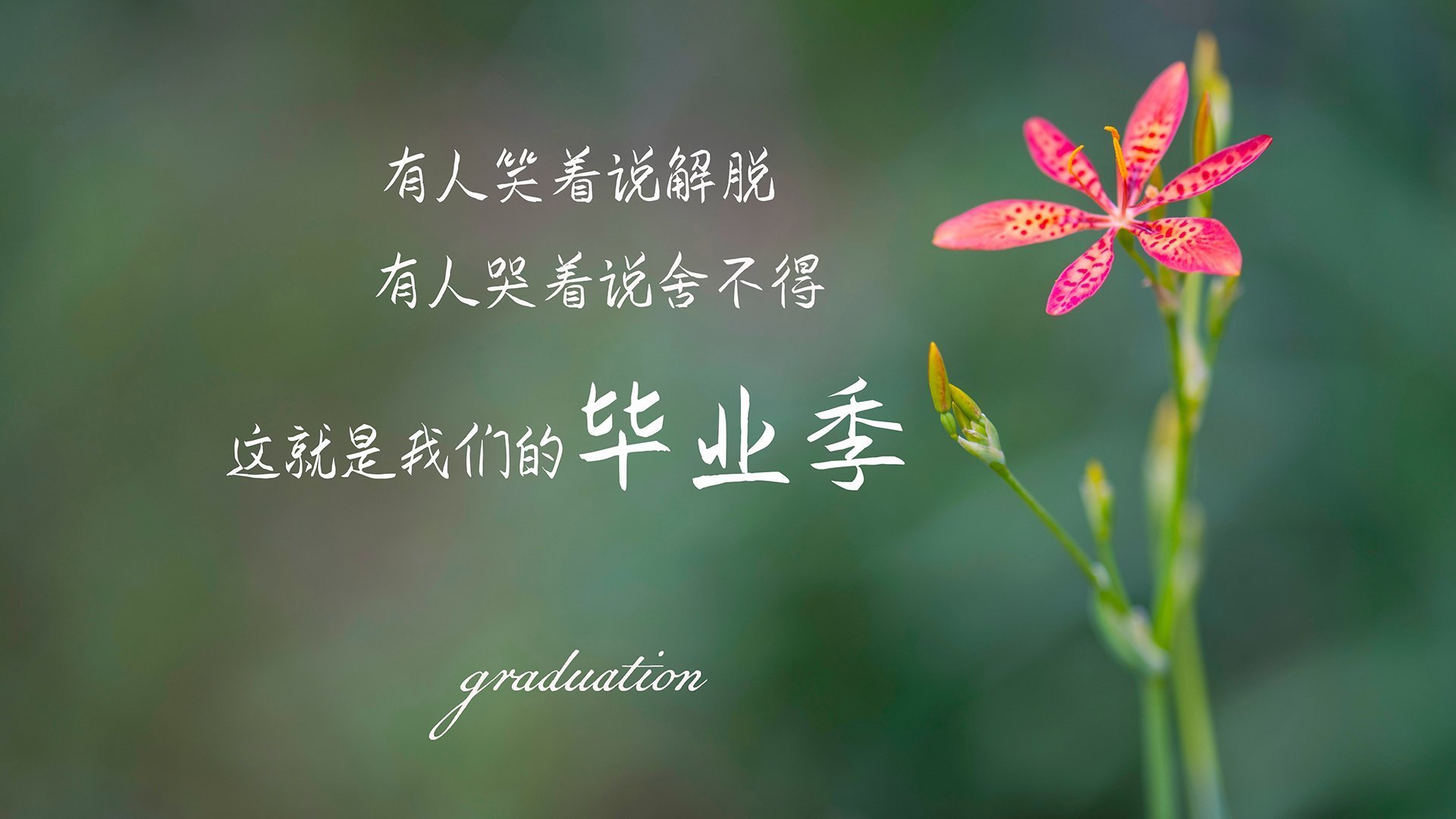英雄杀商鞅怎么玩(英雄杀商鞅技能)