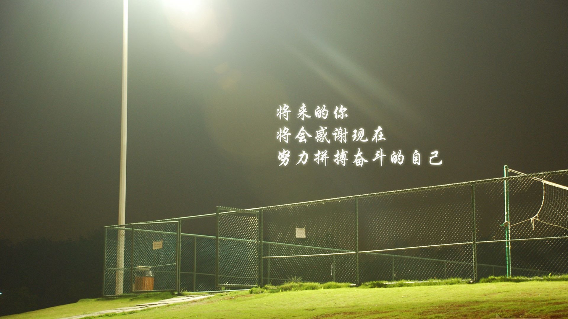 孕妇奶粉质量排行榜(孕妇喝什么奶粉好呢，该怎么挑呢？