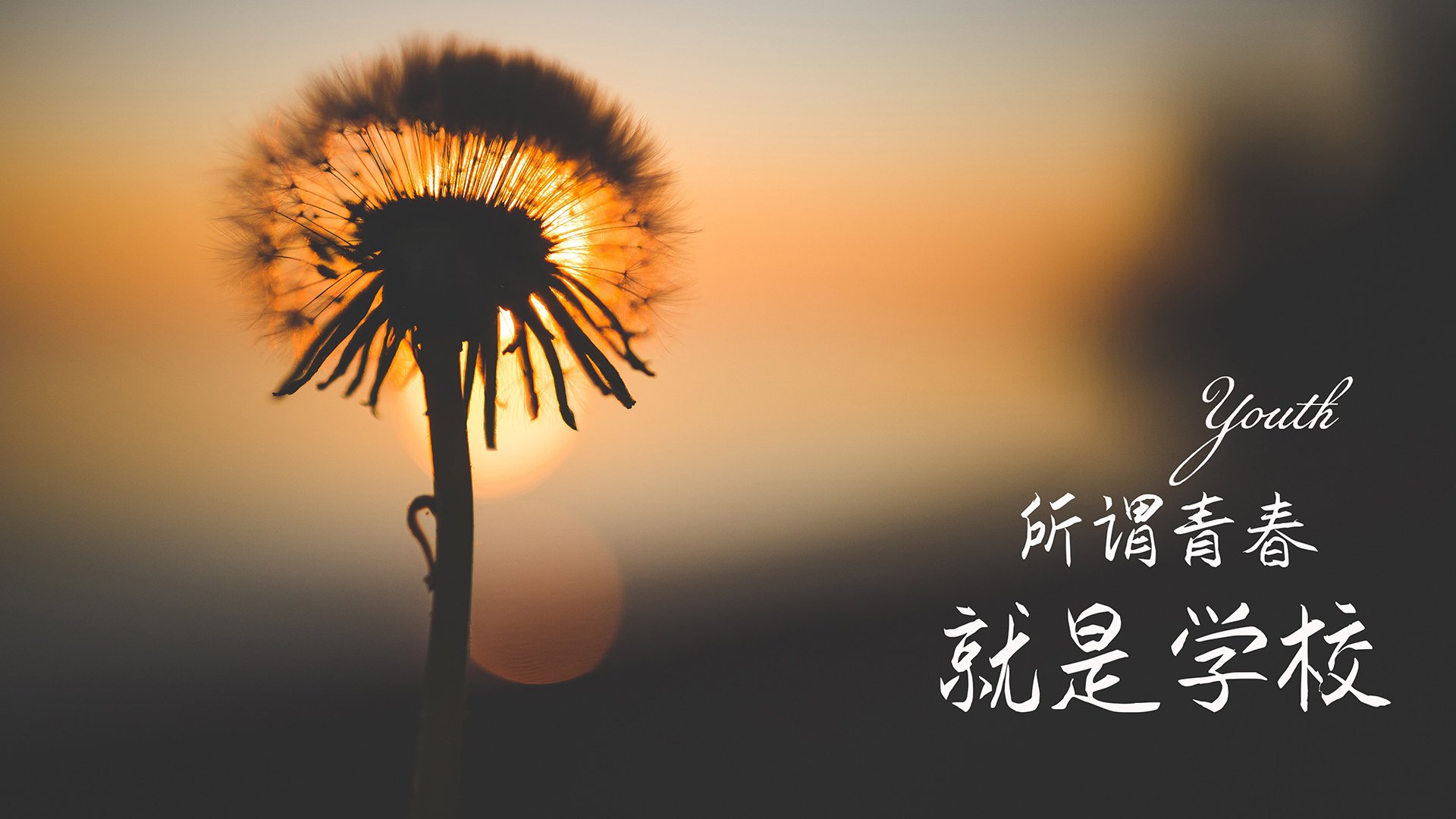 单位证明格式(单位证明格式模板 工作证明)