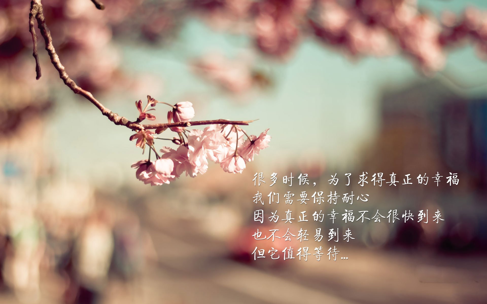 三星折叠手机电脑,三星折叠手机怎么连接电脑
