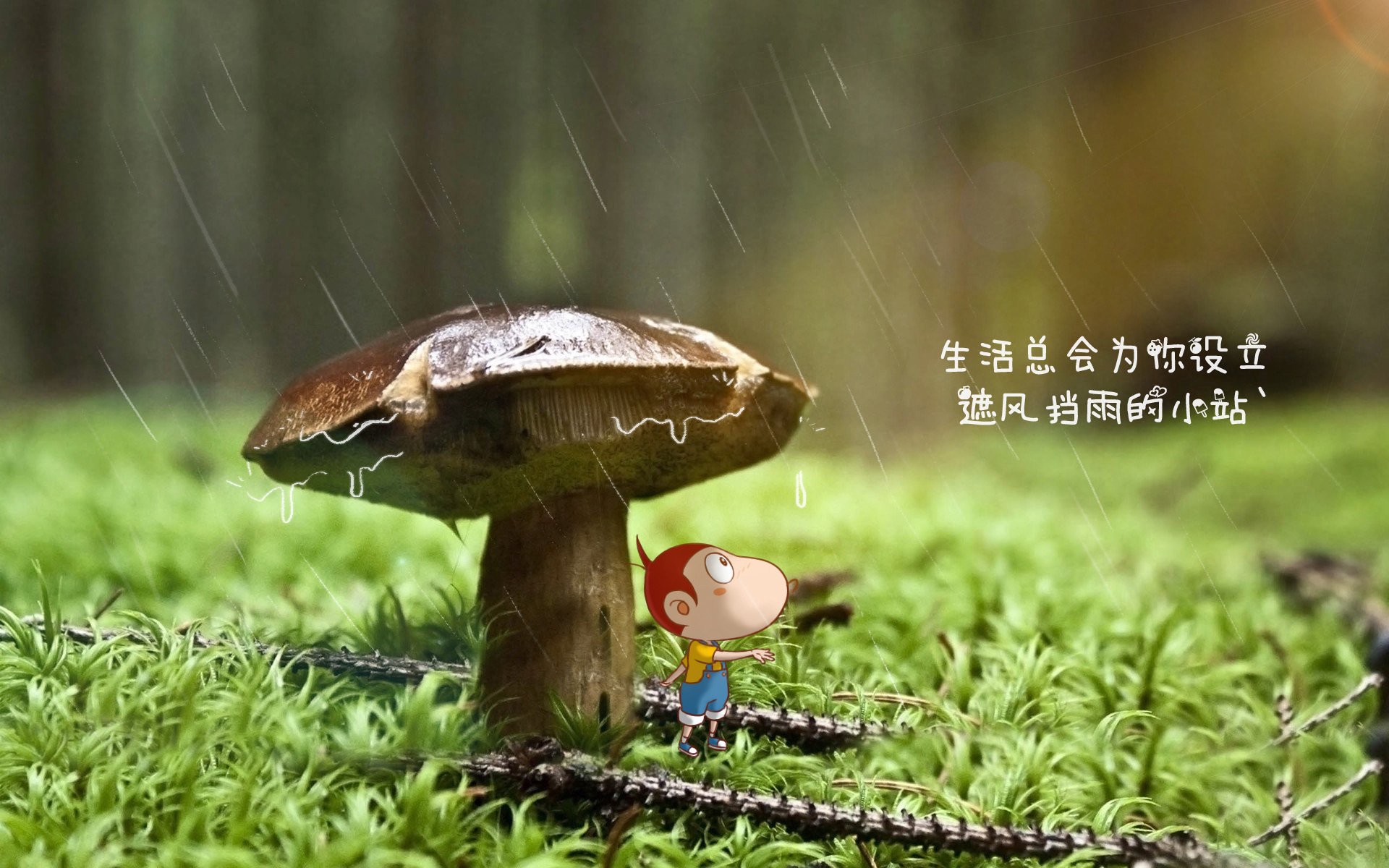 如何卸载一键还原:如何卸载一键还原系统