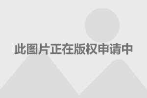 东营建站_专业东营建站真的这样的效果?